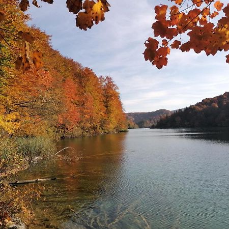 PLITVICE LAKES KONAK Daic Jezerce Exterior foto